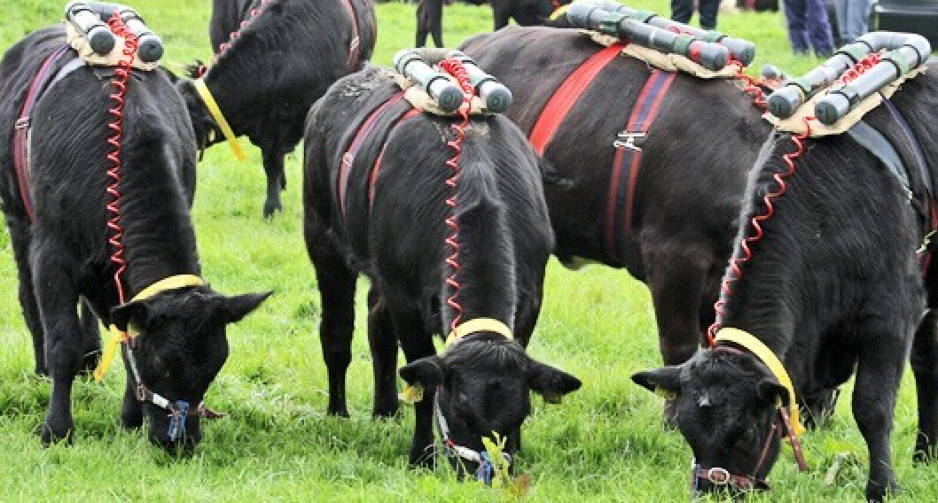 ,   .            . ,    ,   .-2