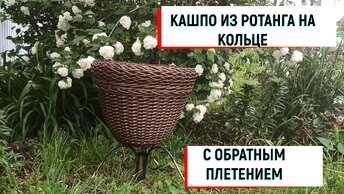 #кашпо КАШПО ИЗ РОТАНГА НА КОЛЬЦЕ С ОБРАТНЫМ ПЛЕТЕНИЕМ #кашпоизротанга #кашпосвоимируками #кашпособратнымплетением #кашпонакольце #плетение