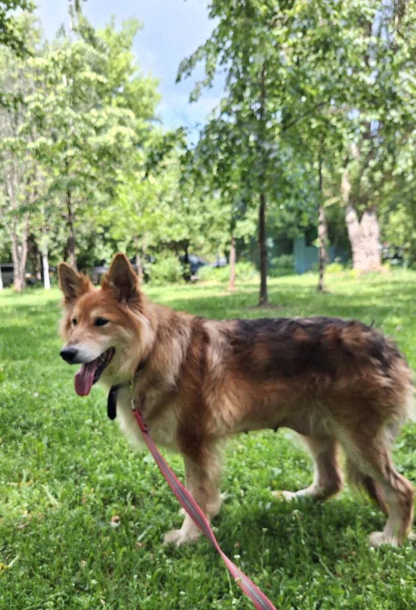 Пожелаем Ясеньке выздоровления.