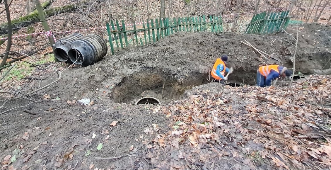    Фото: пресс-служба Минприроды Ульяновской области
