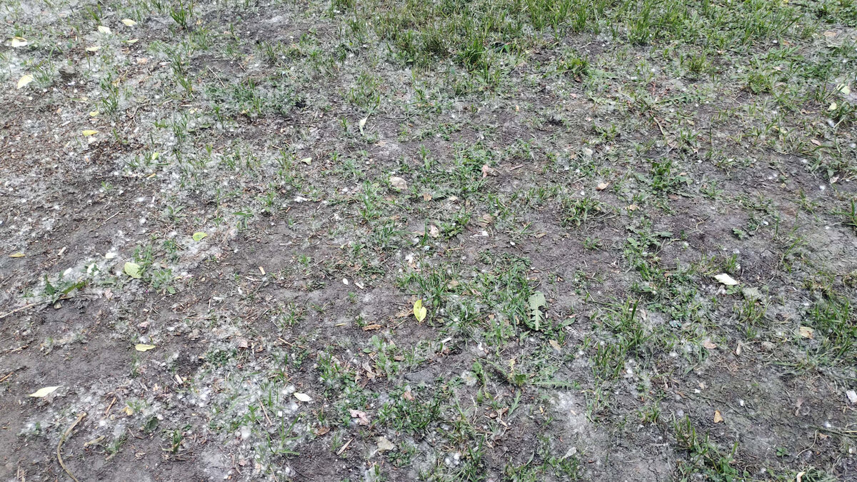 Такие места не нужно искать - они всюду!