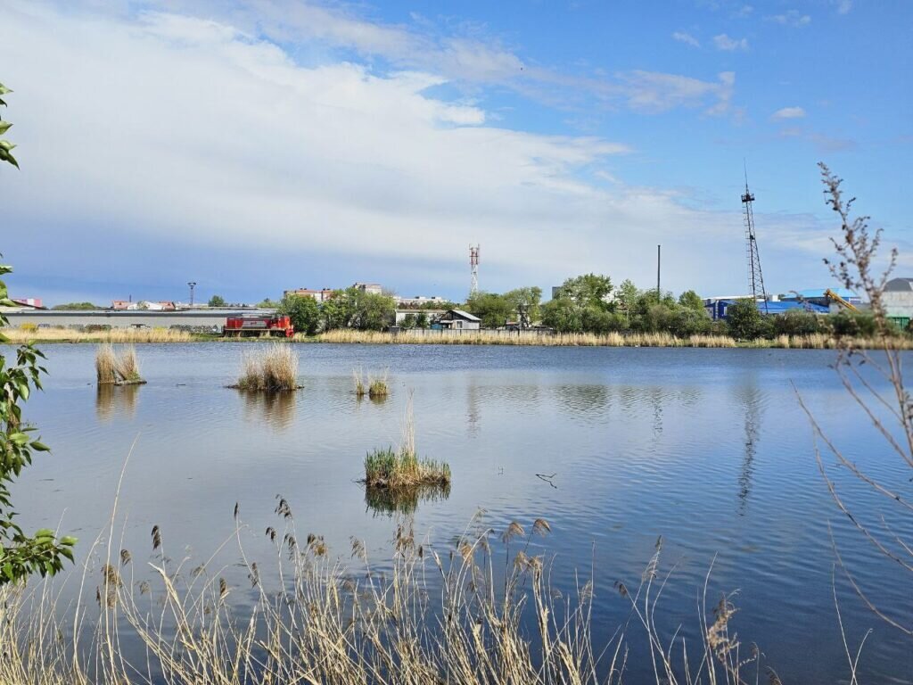    Фото: Амурская бассейновая природоохранная прокуратура