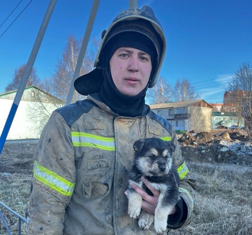    На пожаре в Белом Яре спасли щенка