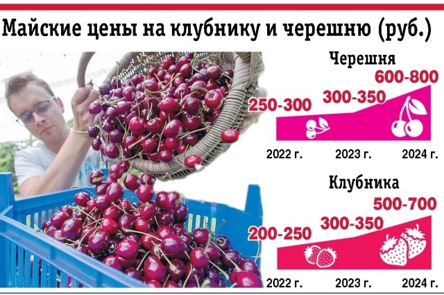    Фото:  АиФ