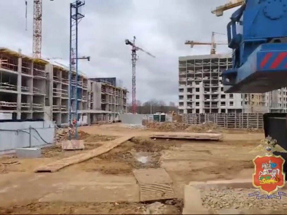    Проверка мигрантов на подмосковной стройке© МВД РФ