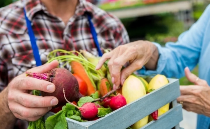 Новый штраф для дачников за излишки урожая