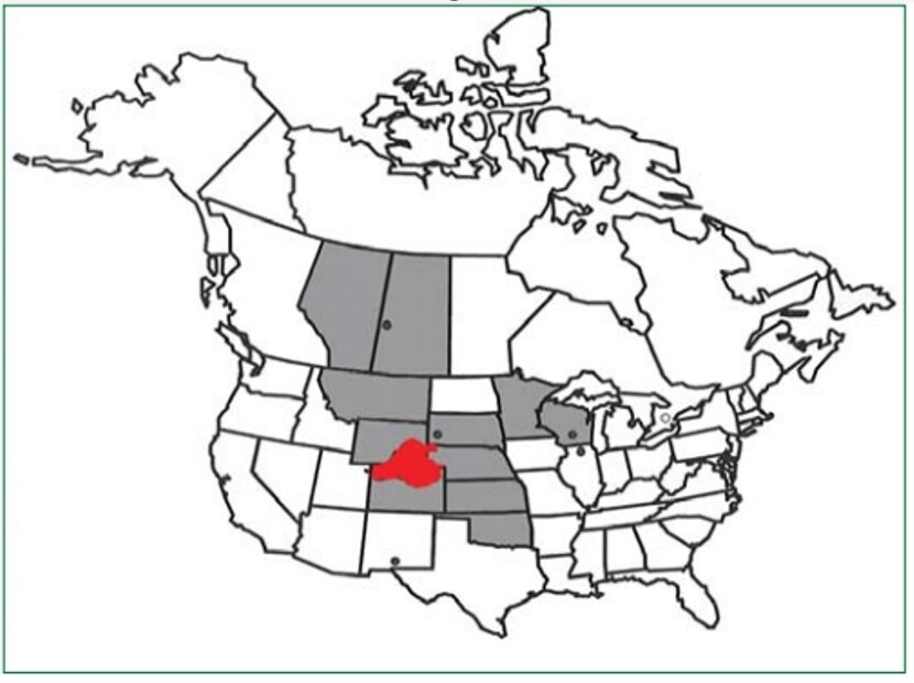 Эндемичный ареал (серым цветом) и эпицентр (красным цветом) ХИО в США и Канаде. По: Макаров, В.В. Прионы, прионные болезни и хроническое истощение оленей / В.В. Макаров // Вестник охотоведения. — 2017. — Т. 14. — №3. — С. 206–215 