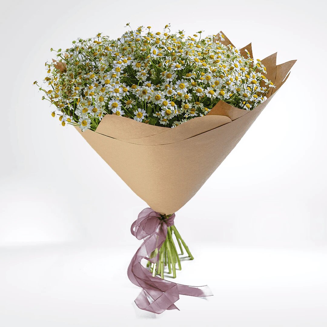   Букет из 15 ромашек от AzaliaNow