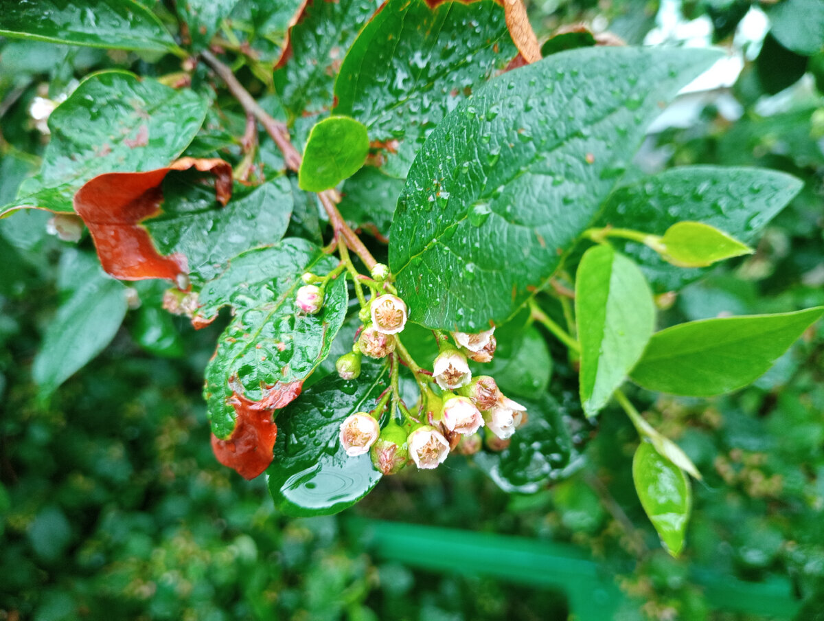 Что было вчера у нас - всемирный потоп практически