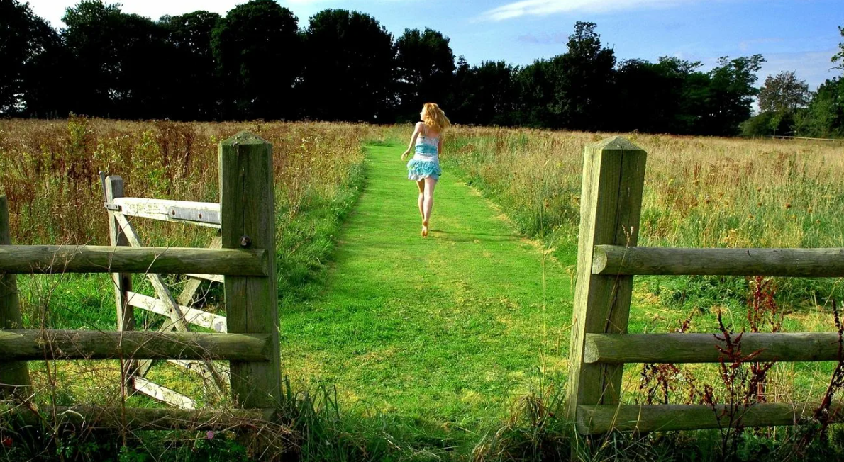 Яндекс картинки