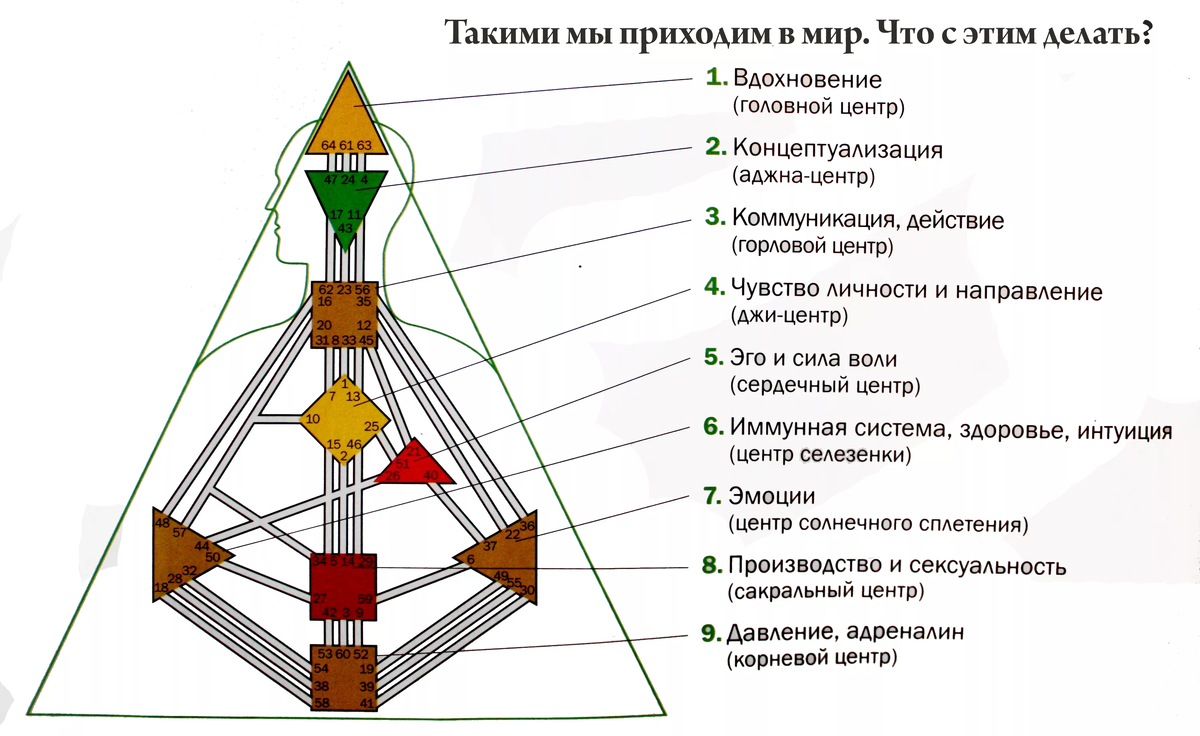 Хьюмен дизайн расчет