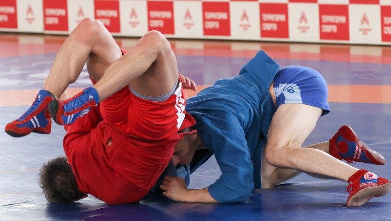      Фото: Александр Щербак/ТАСС / / ТАСС фотобанк