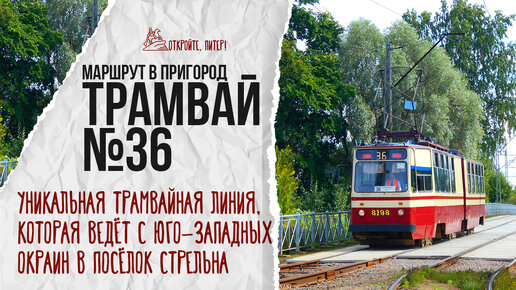 Почему в Стрельну на Трамвае № 36? Необычные трамвайные маршруты Санкт-Петербурга