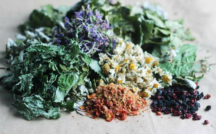 Мои первые сборы ароматных трав для чаев. Давно это было)))