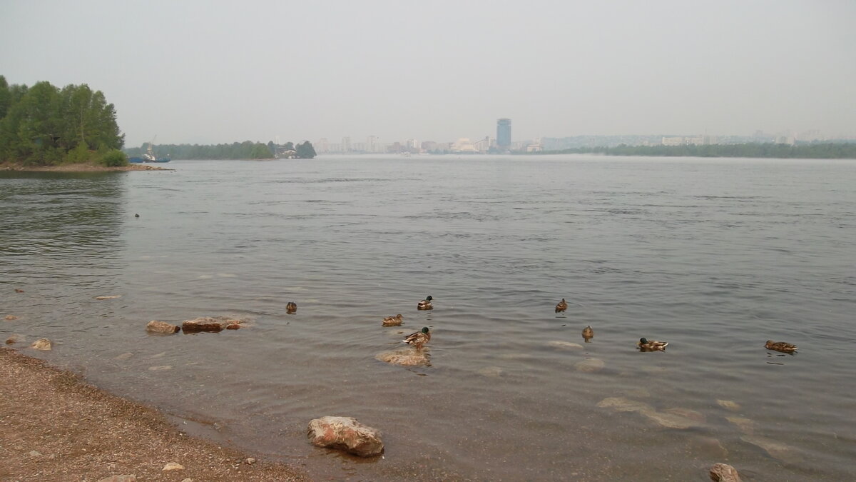 Сибирская река Енисей. Город Красноярск. Сибирь.