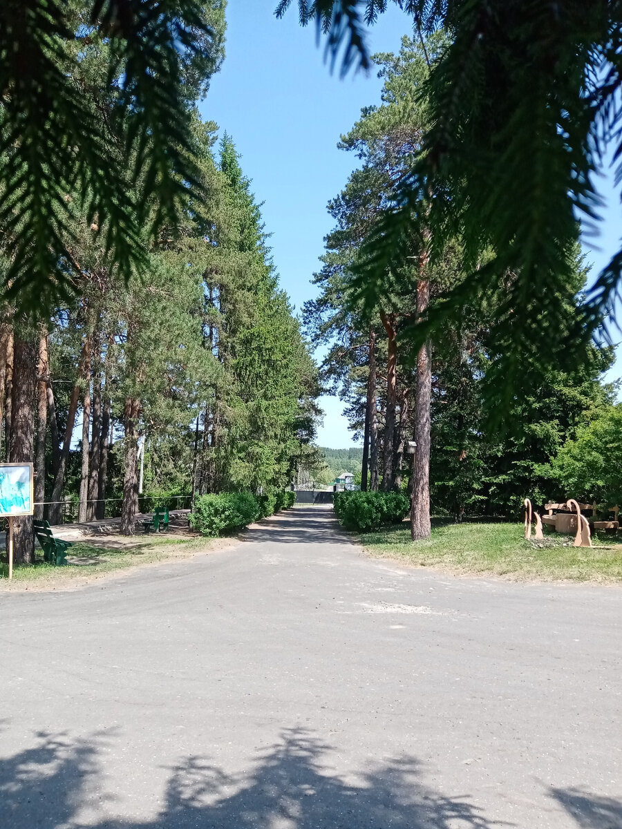 Здесь кругом сосны, красиво, как в санатории.
