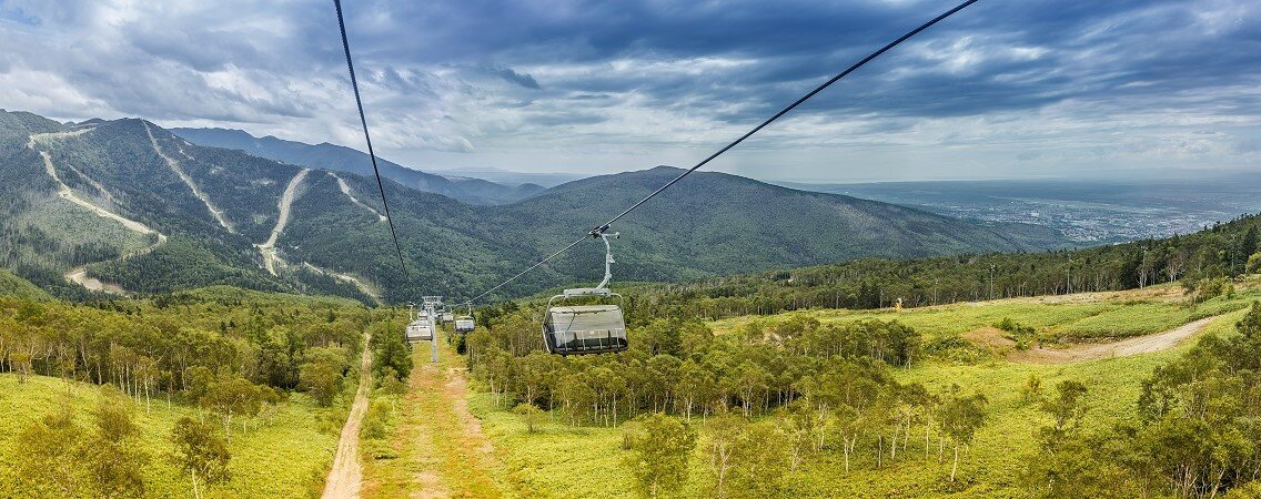 ©ArtNat/Shutterstock