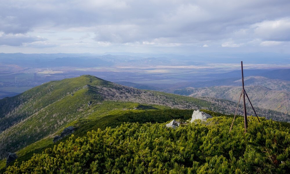 ©paha1205/Shutterstock