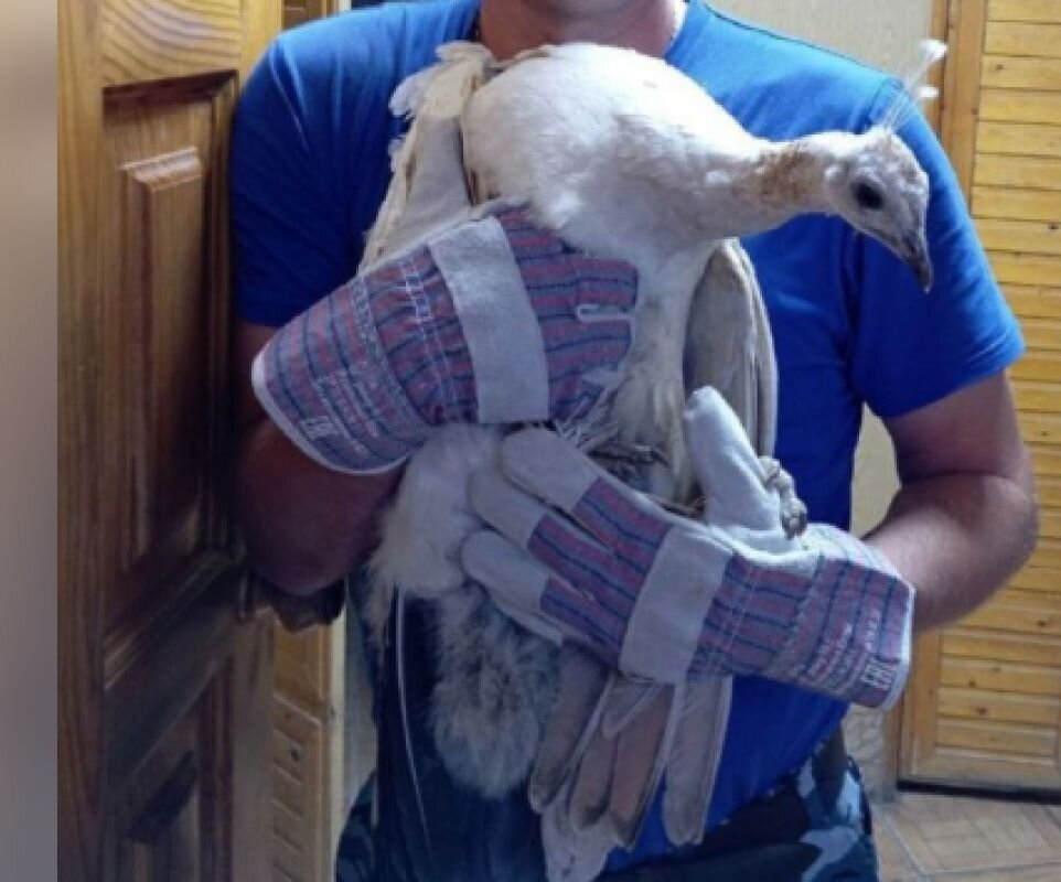 Фото: ТГ-канал администрации Волгограда 