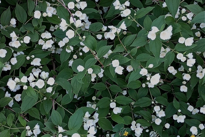 "Ты офигенная и даже не толстая" Моя история знакомства с альфонсом...