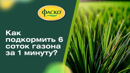 Как подкормить 6 соток газона за 1 минуту?😱