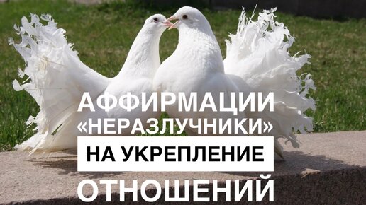 💕🕊️АФФИРМАЦИИ «НЕРАЗЛУЧНИКИ» ДЛЯ УКРЕПЛЕНИЯ ОТНОШЕНИЙ💕🕊️ #счастьеесть #аффирмации