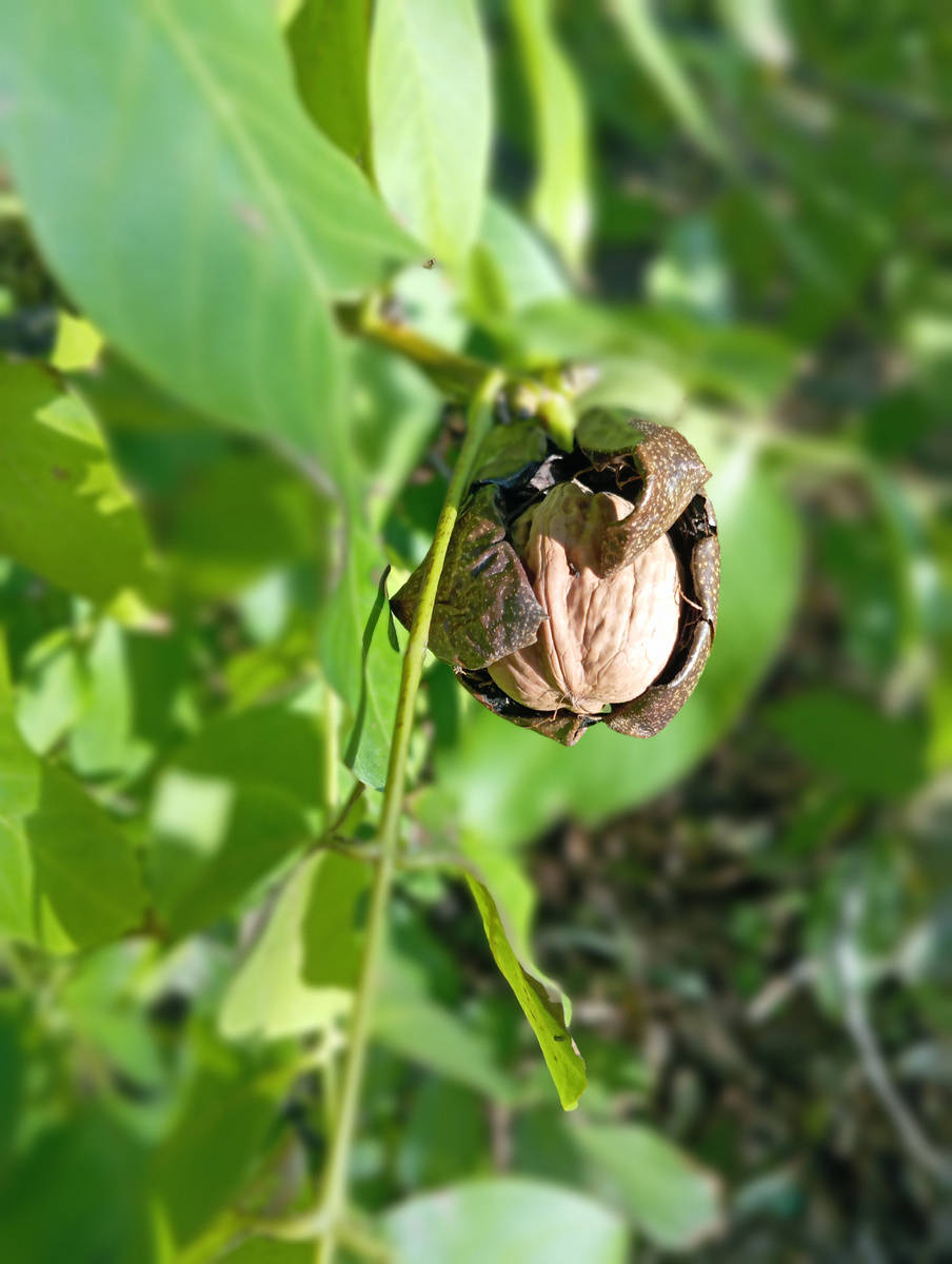 Интересное фото получилось. 