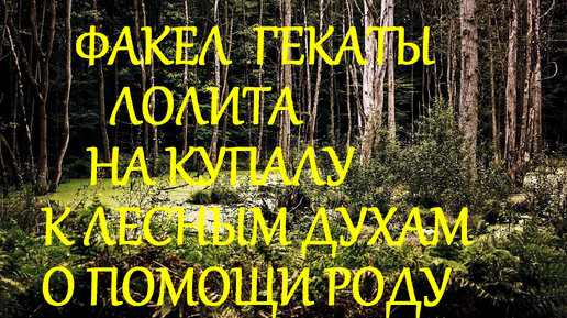 НА КУПАЛУ К ЛЕСНЫМ ДУХАМ О ПОМОЩИ РОДУ /24 ИЮНЯ/07 ИЮЛЯ/ РИТУАЛ В ЛЕСУ ПОМОЩЬ ВОИНУ ФАКЕЛ ГЕКАТЫ ЛОЛИТА 238