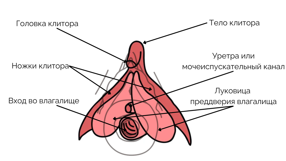 © Настя Михеева. Психология, сексология, тантра. 