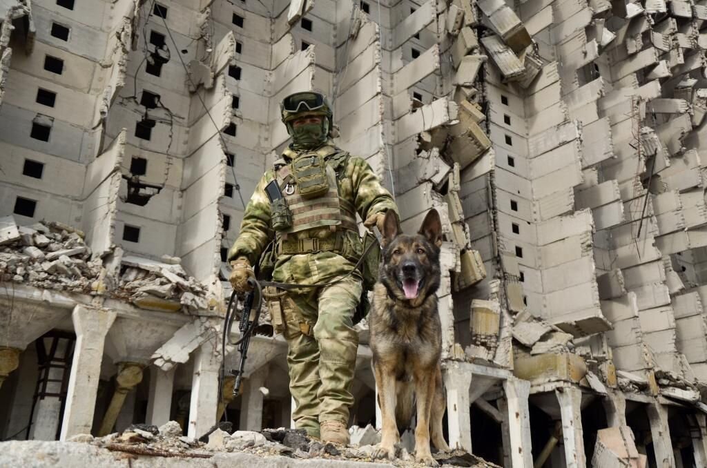 Большое количество неразорвавшихся боеприпасов было найдено в разрушенном здании бывшего склада вооружения в Херсонской области. Обнаружить их удалось благодаря минно-розыскной собаке Тони, которая уже в третий раз находится в командировке в районах проведения СВО, источник – Телеграм-канал Росгвардия