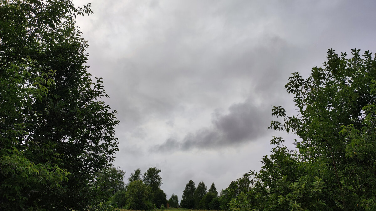 Перед грозой (фото автора)