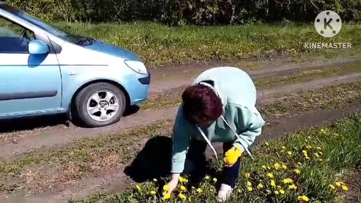 В Сибири так жарят растягаи/не можем купить цыплят/зачем ездим в лес