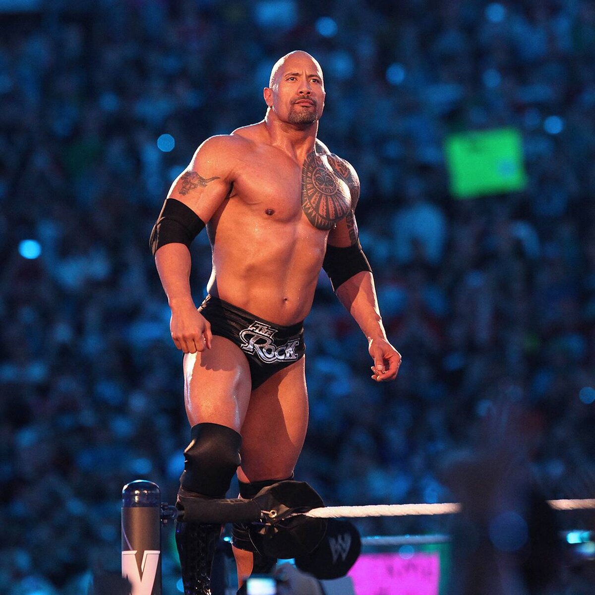 Wrestling Federation