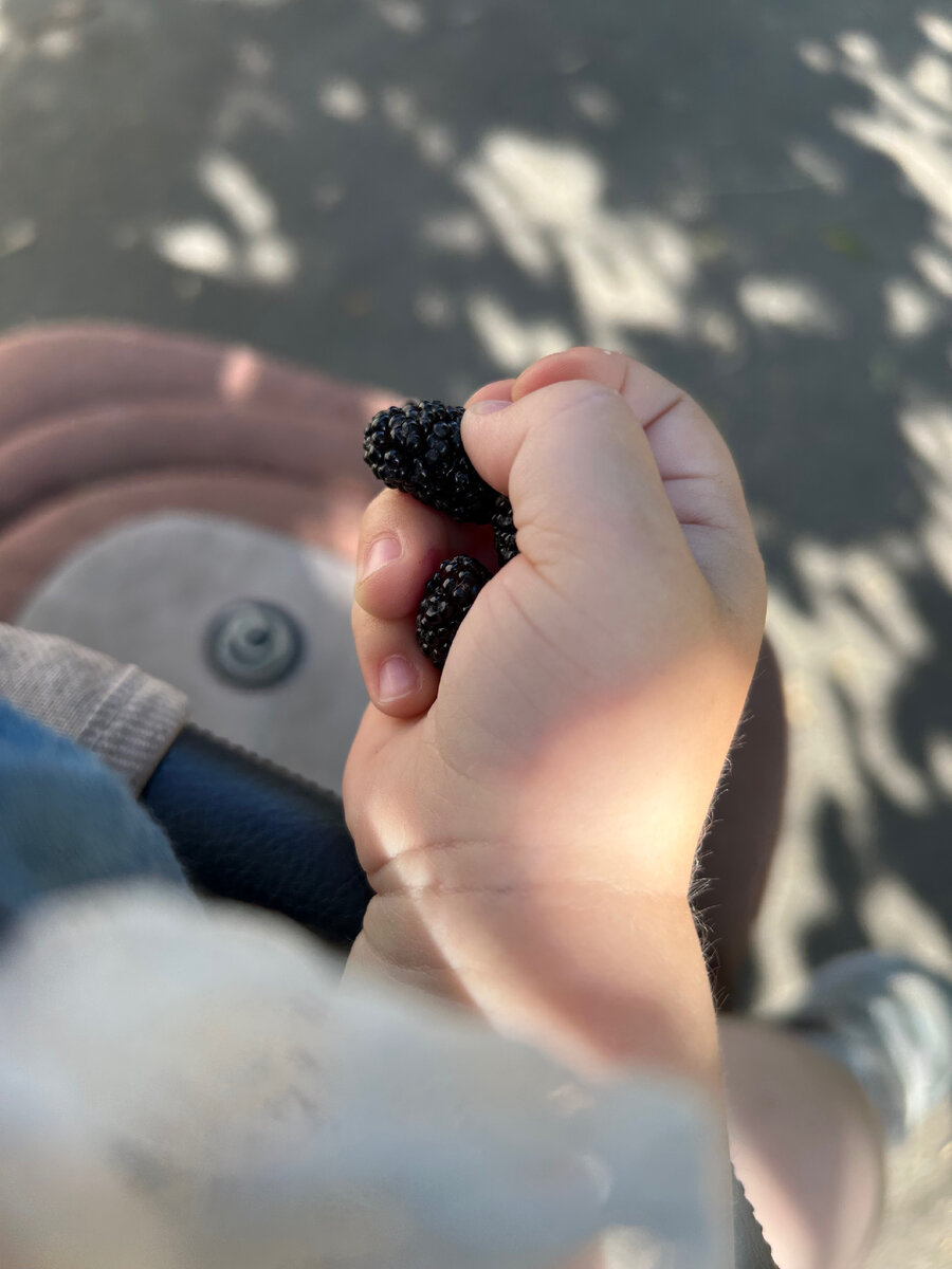 Понравился тутовник, держит в ладошке)