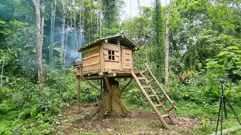 Построил домик в лесу на высоком пне с небольшим балконом для готовки еды своими руками