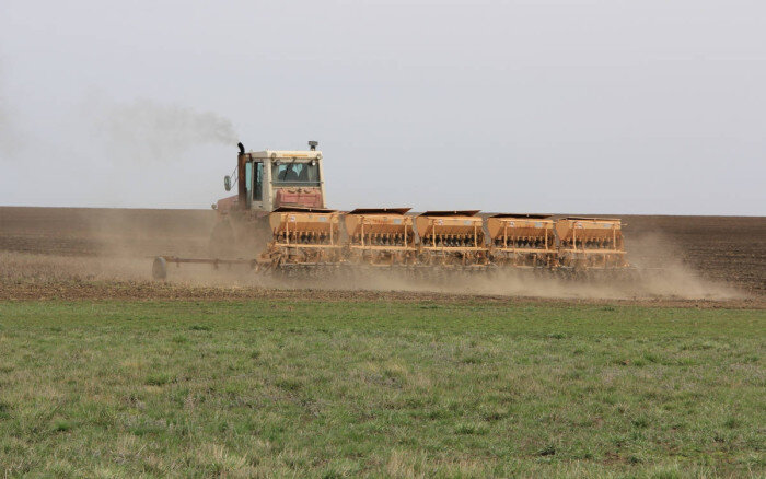    В Оренбуржье площадь ярового сева составила уже более 3 млн гектаров Кристина Просвиркина