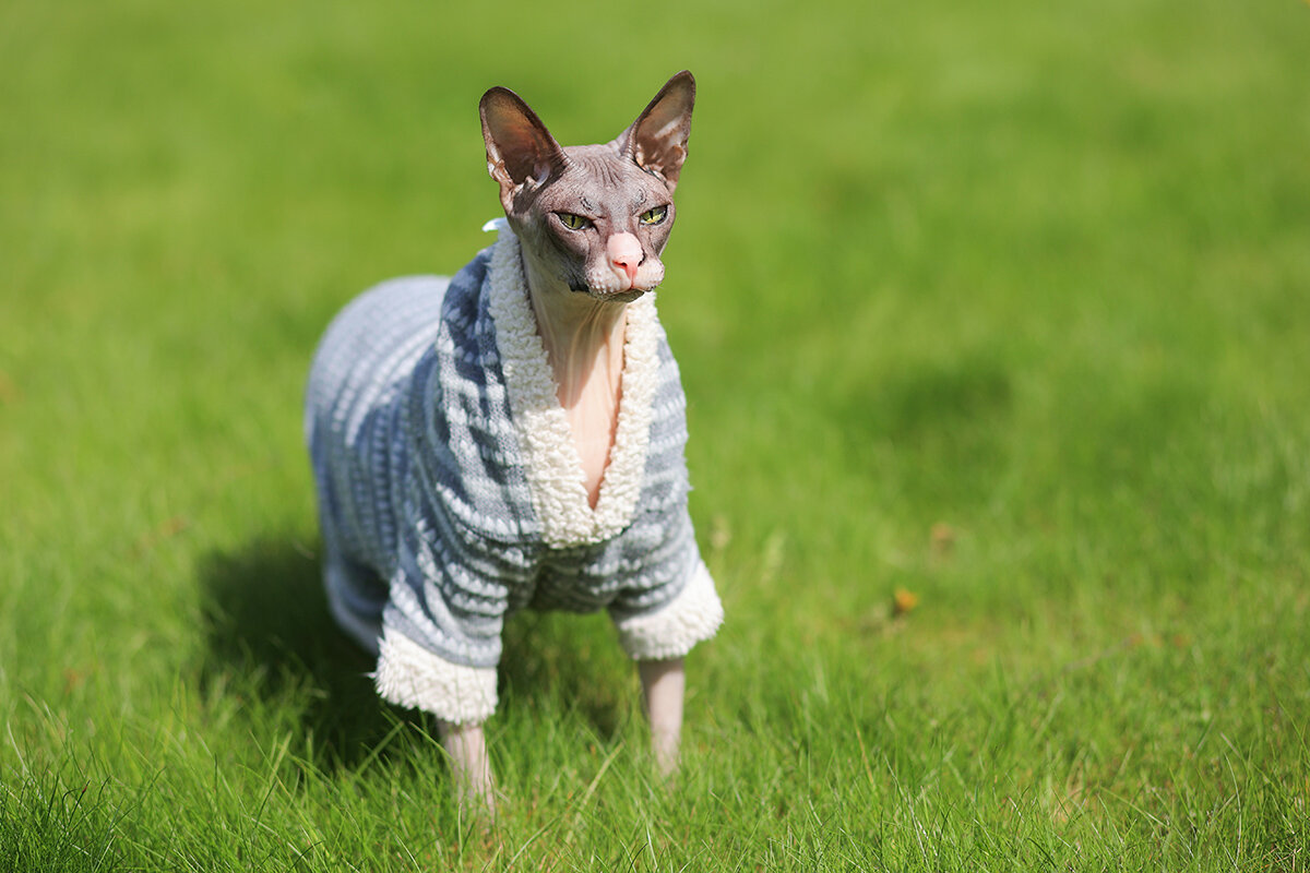    happiness69 / Shutterstock / FOTODOM