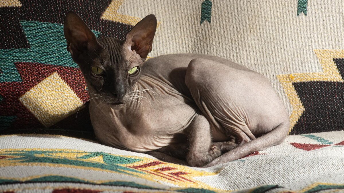    Viachaslau Herostratos / Shutterstock / FOTODOM