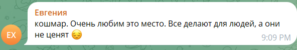 Скриншот комментария под публикацией в Telegram-канале «Ноябрьск. Официально»