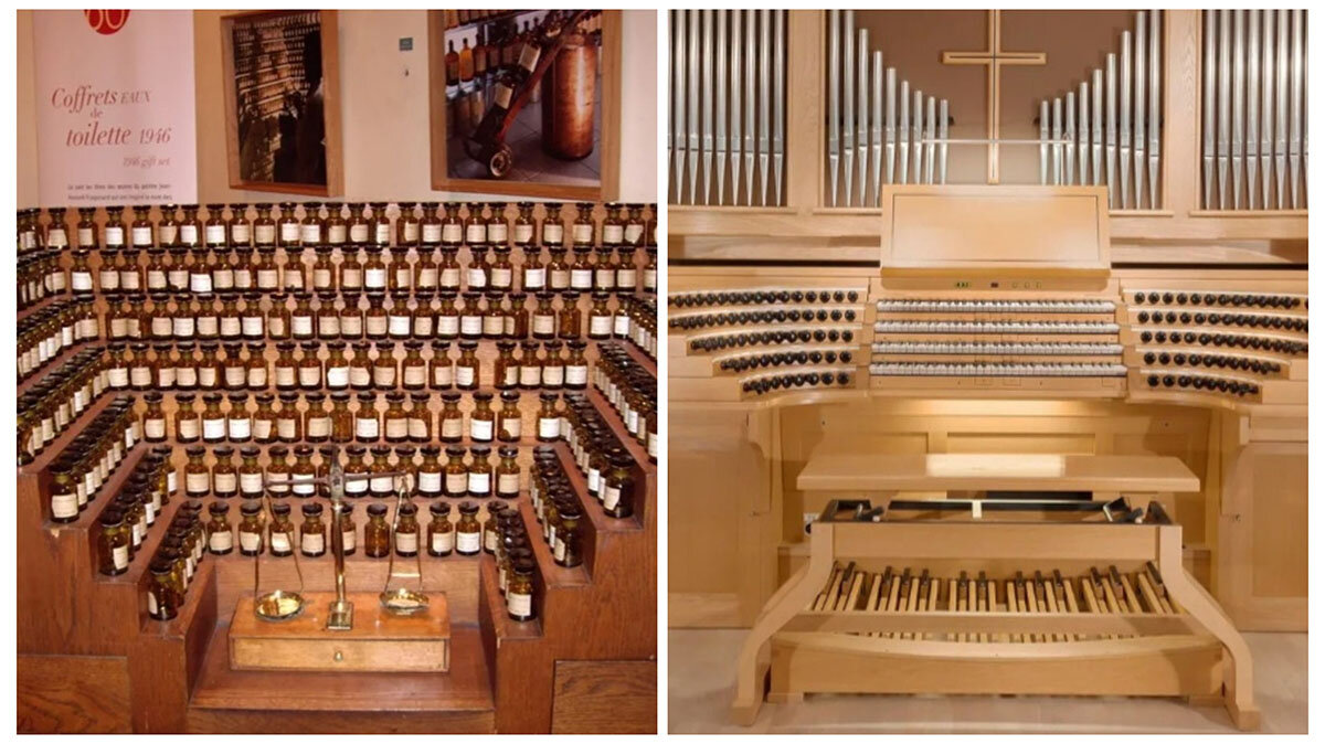 Орган парфюмерный и орган музыкальный. Найди 10 отличий :)