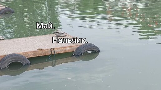 Нальчик. Борьба за место под солнцем