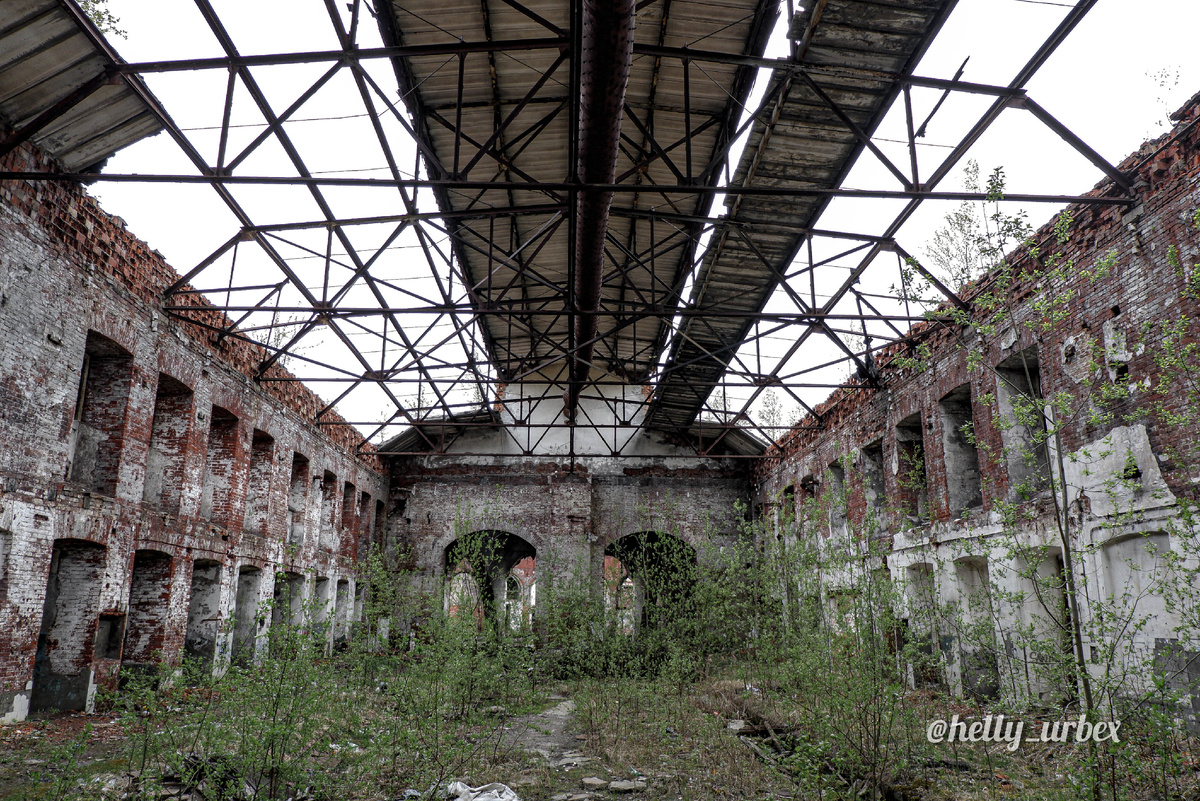 листай, чтобы увидеть больше 👉