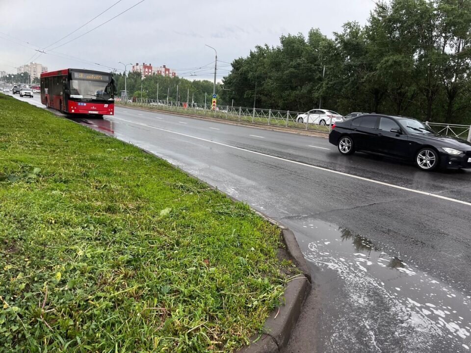    Фото: Министерство экологии РТ