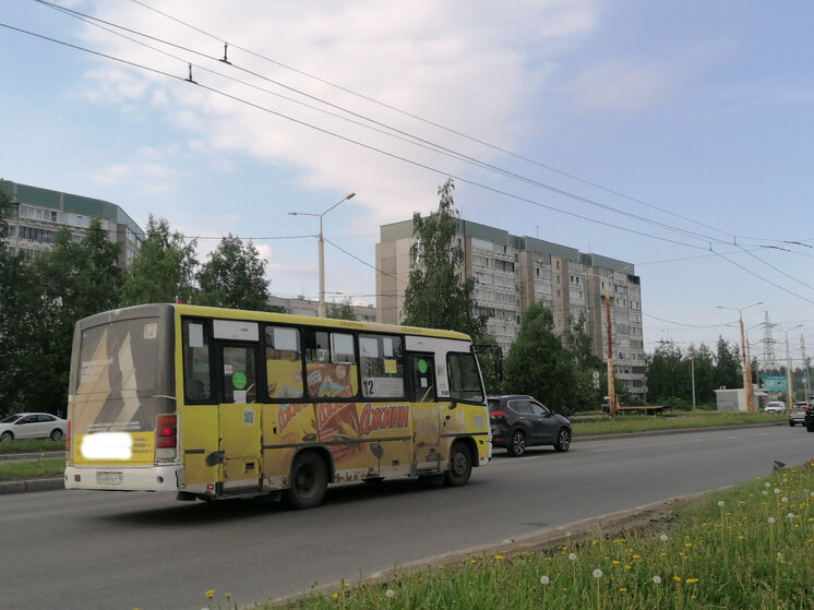     Фото: Наталья Соколова