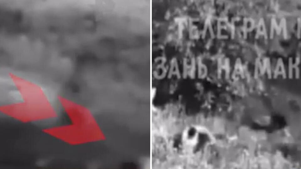 Фото: © Использованы материалы: скриншот видео