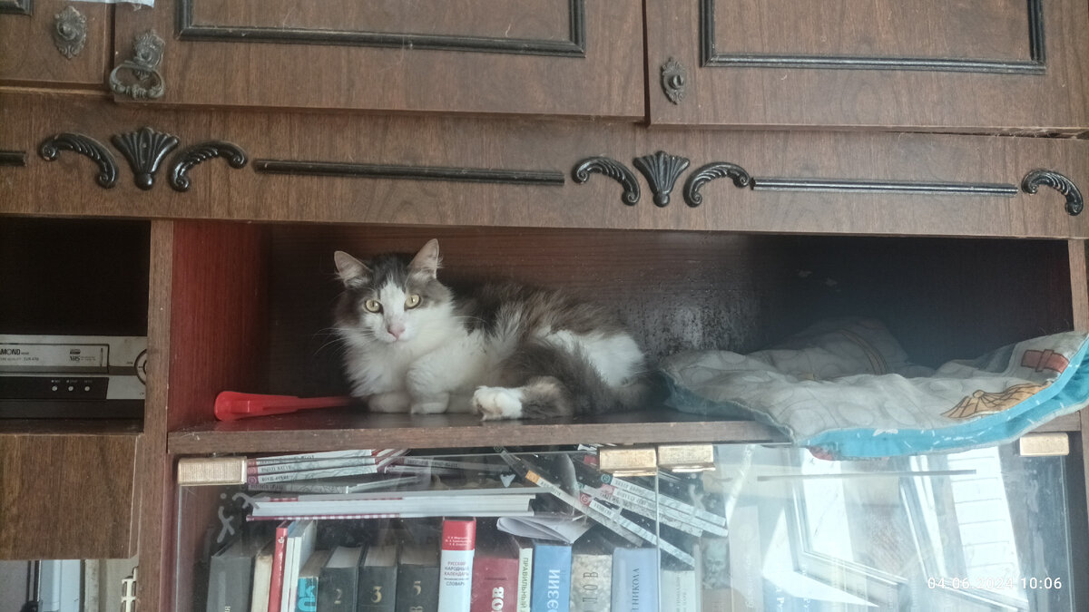 Тотошка. Первый дом. 