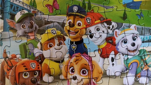 Щенячий патруль - собираю пазлы - PAW PATROL ❤