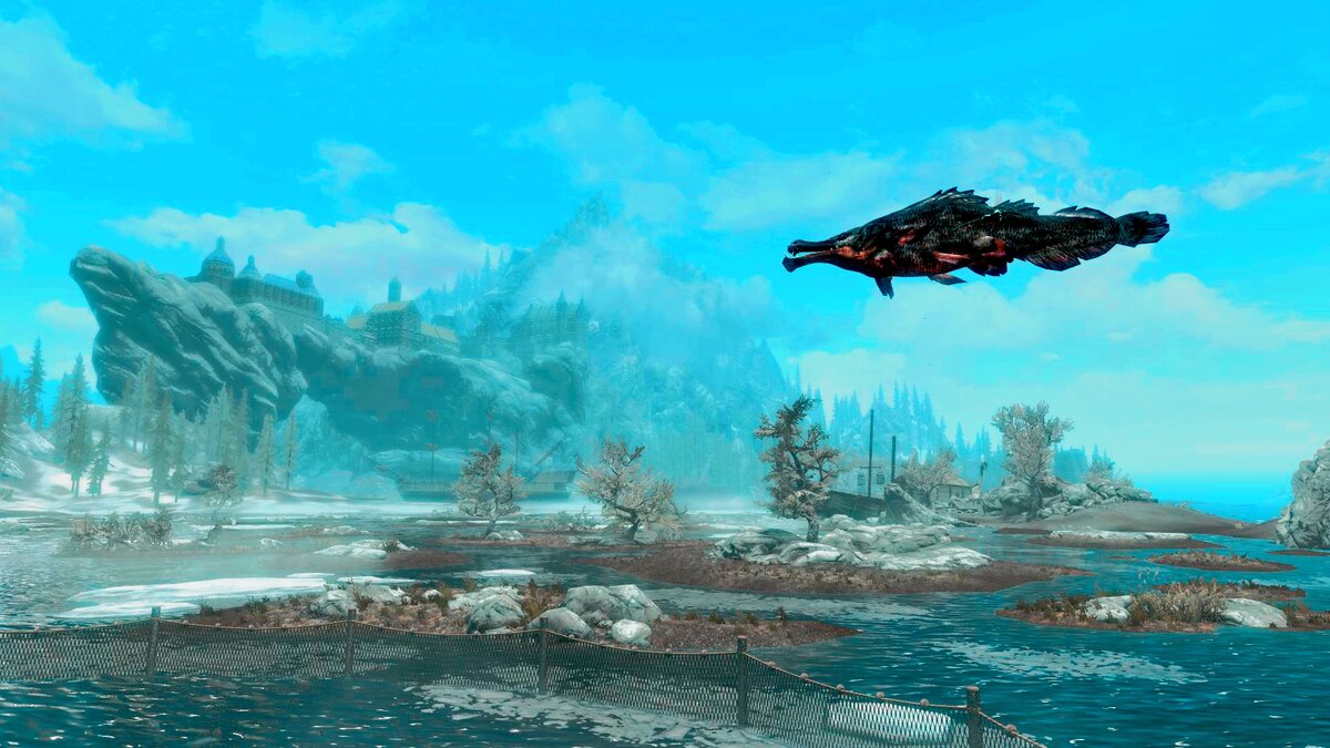 ничего необычного - просто рыба-убийца куда-то полетела