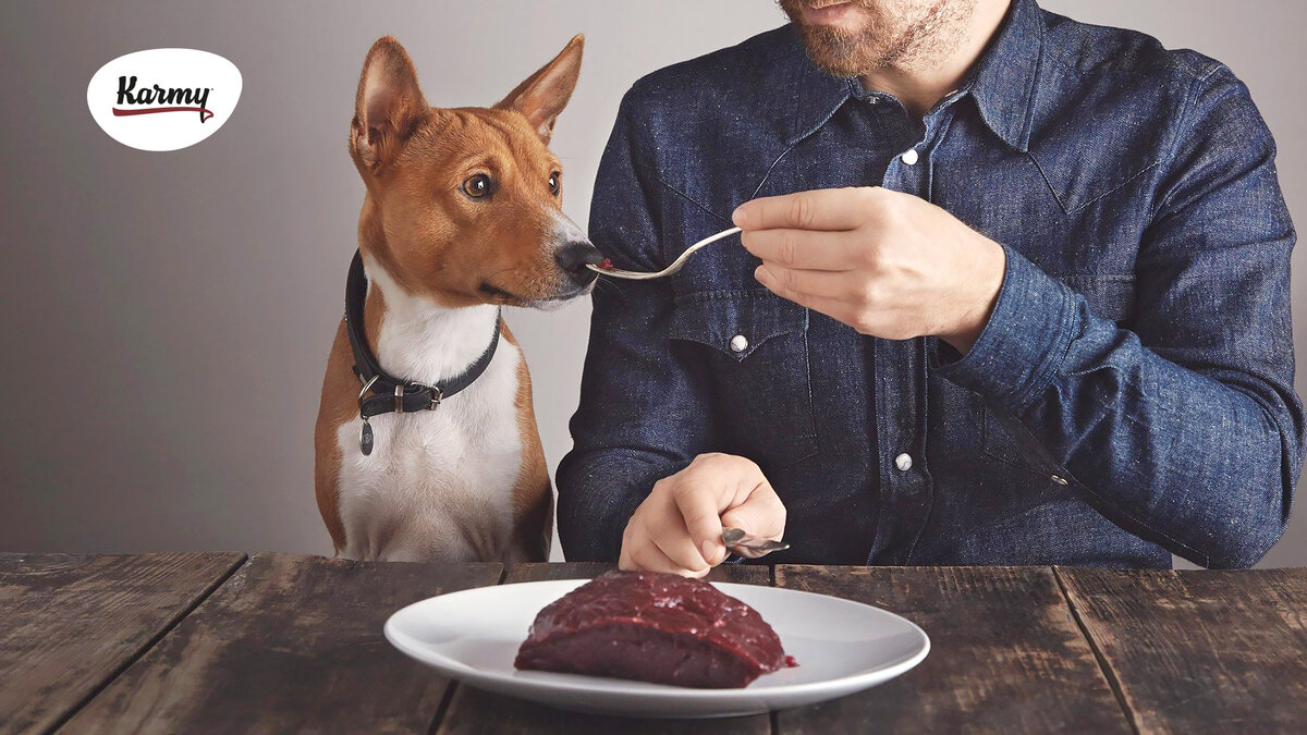 Авторское изображение с использованием картинки с фотостока istockphoto