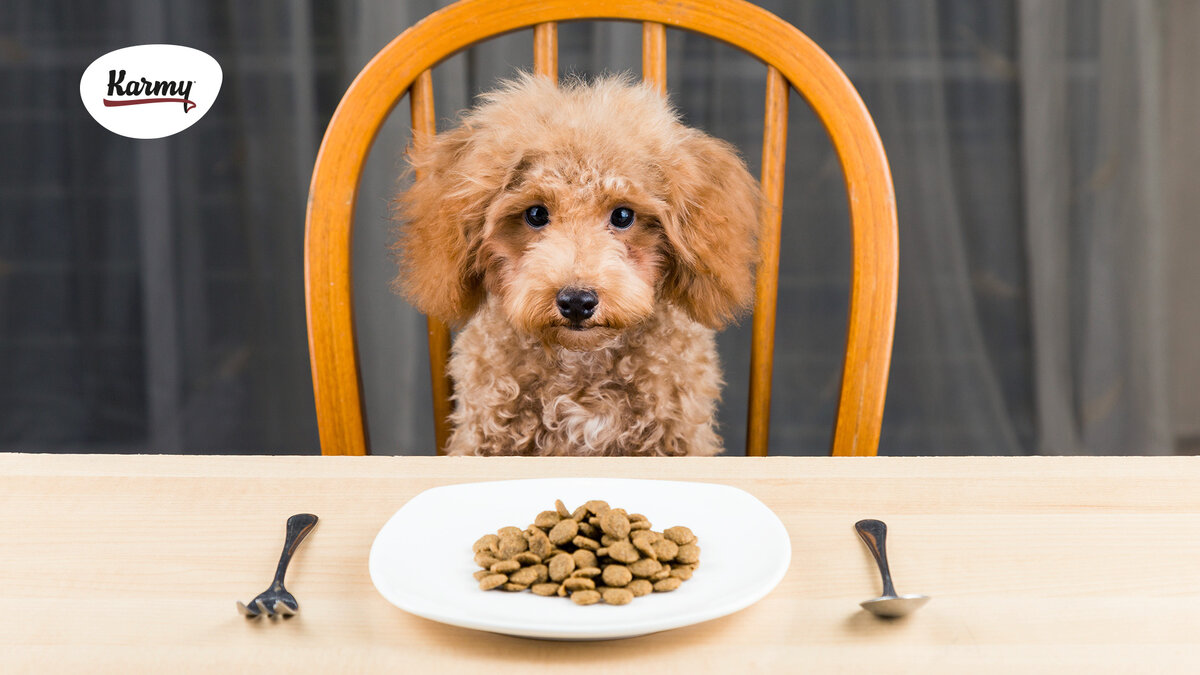 Авторское изображение с использованием картинки с сайта 1zoom.ru